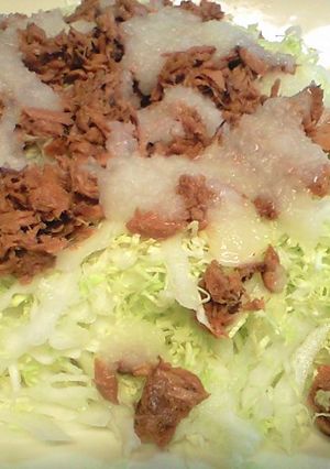 白菜とマグロフレークのサラダ-レシピのメイン写真