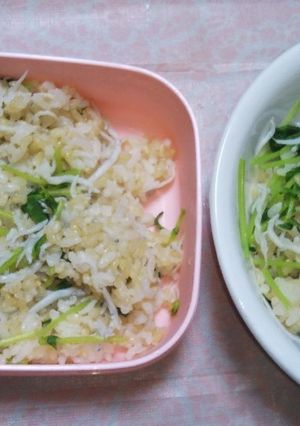しらす豆苗丼-レシピのメイン写真