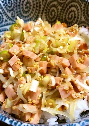 速攻！ラーメン屋さんのねぎチャーシュー丼-レシピのメイン写真