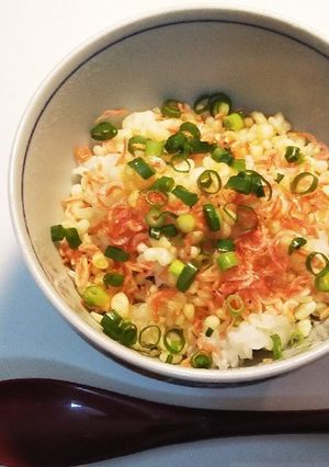 簡単！なんちゃってかき揚げ丼-レシピのメイン写真