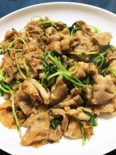 【簡単】牛肉と豆苗のオイスター炒め-レシピのメイン写真