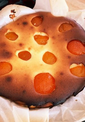 豆腐のバスチー（金柑入り)-レシピのメイン写真
