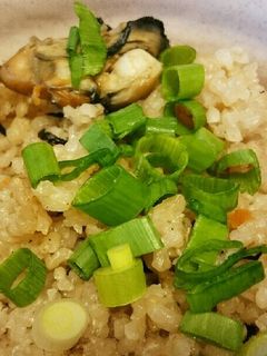 ゴロゴロ贅沢☆牡蠣小屋の牡蠣ご飯-レシピのメイン写真