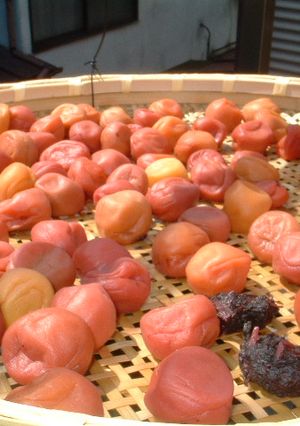梅干-レシピのメイン写真