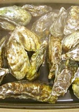 殻付き牡蠣のホットプレート蒸し-レシピのメイン写真