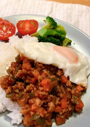 野菜たっぷりひき肉ごはん-レシピのメイン写真