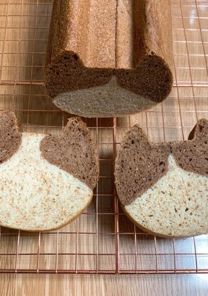 猫パン-レシピのメイン写真