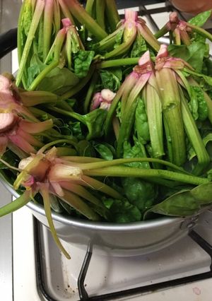 多量のホウレンソウの茹で方-レシピのメイン写真