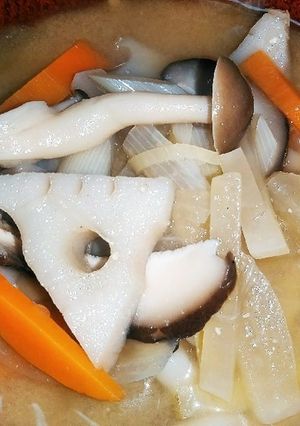 体温める☆生姜入り根菜の味噌汁-レシピのメイン写真