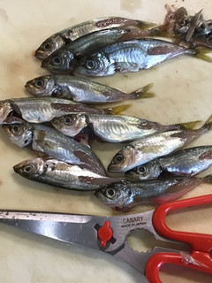 キッチンバサミで肉や魚の下処理-レシピのメイン写真