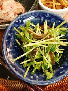 キクラゲと豆苗サラダ-レシピのメイン写真