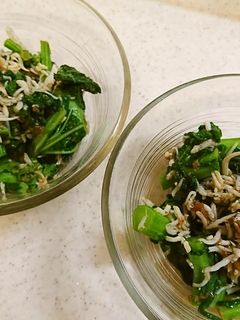 菜の花(菜花)からし和え-レシピのメイン写真