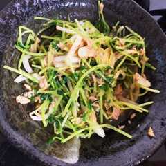 A picture of 豆苗と玉ねぎとツナの和え物.