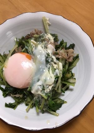 水菜ハリハリ？たまごinしてみた〜-レシピのメイン写真