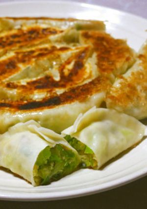 高野豆腐とたっぷり野菜のヴィーガン餃子-レシピのメイン写真