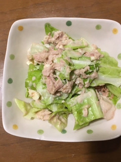 包丁いらずで簡単!キャベツツナサラダ-レシピのメイン写真