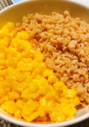 こども大好き！たまごと鶏そぼろのごはん-レシピのメイン写真