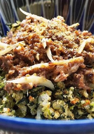 犬ご飯　牛のしぐれ煮風どんぶり-レシピのメイン写真