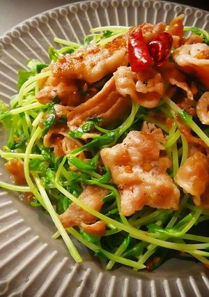 プロ直伝！豚バラと豆苗のペペロンチーノ-レシピのメイン写真