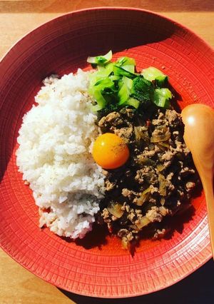 魯肉キーマスパイスカレー-レシピのメイン写真