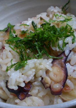 梅干とタコのご飯-レシピのメイン写真
