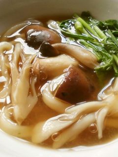 春~あったか!きのこうどん♪-レシピのメイン写真
