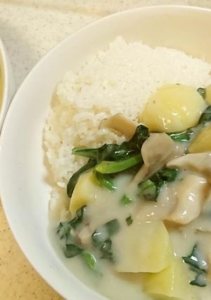 ちぢみほうれん草のクリームシチュー！-レシピのメイン写真