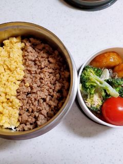 ☆高校生娘のお弁当☆191-レシピのメイン写真
