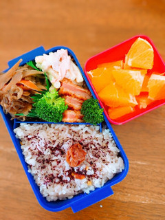 牛肉とごぼうの甘辛炒め弁当-レシピのメイン写真