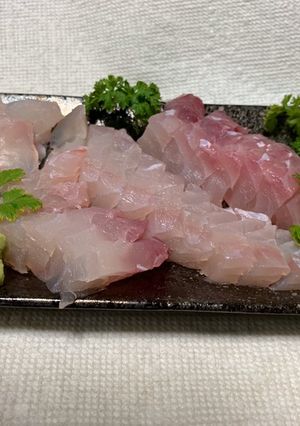 【基本】ブダイの捌き方(刺身まで)-レシピのメイン写真