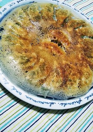 野菜たっぷり餃子-レシピのメイン写真