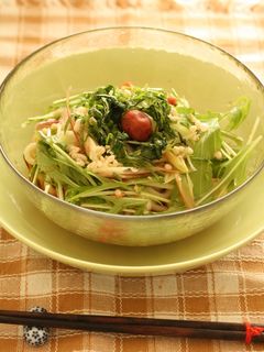 梅ぇ~✿冷やしうどん-レシピのメイン写真