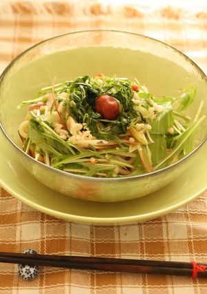 梅ぇ～✿冷やしうどん-レシピのメイン写真