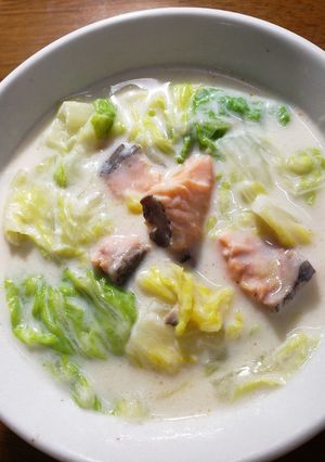 白菜と鮭のクリームシチュー-レシピのメイン写真