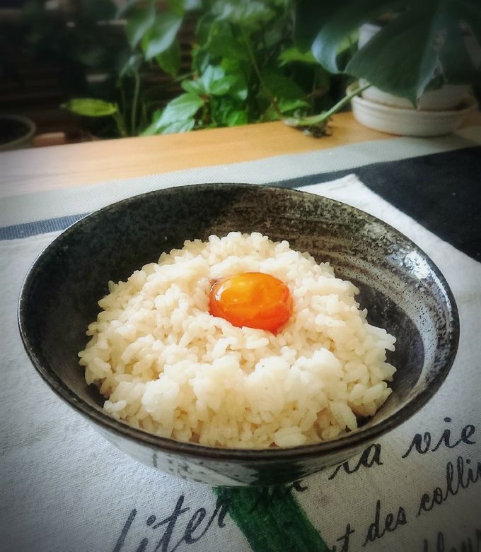 たまごかけごはん様4 楽天市場】＼8/4は500円OFF☆28時間&1000枚限定／送料無料