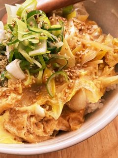 油揚げで作る卵とじ丼-レシピのメイン写真
