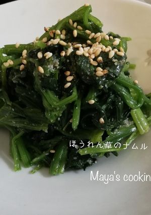 作り置き【ほうれん草の簡単ナムル】-レシピのメイン写真