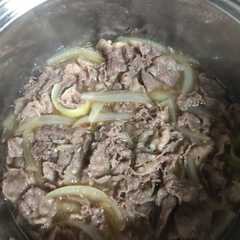 A picture of 牛丼.