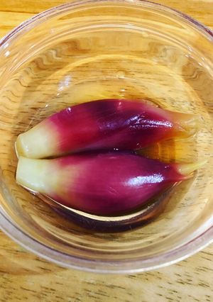 ミョウガの甘酢漬け-レシピのメイン写真