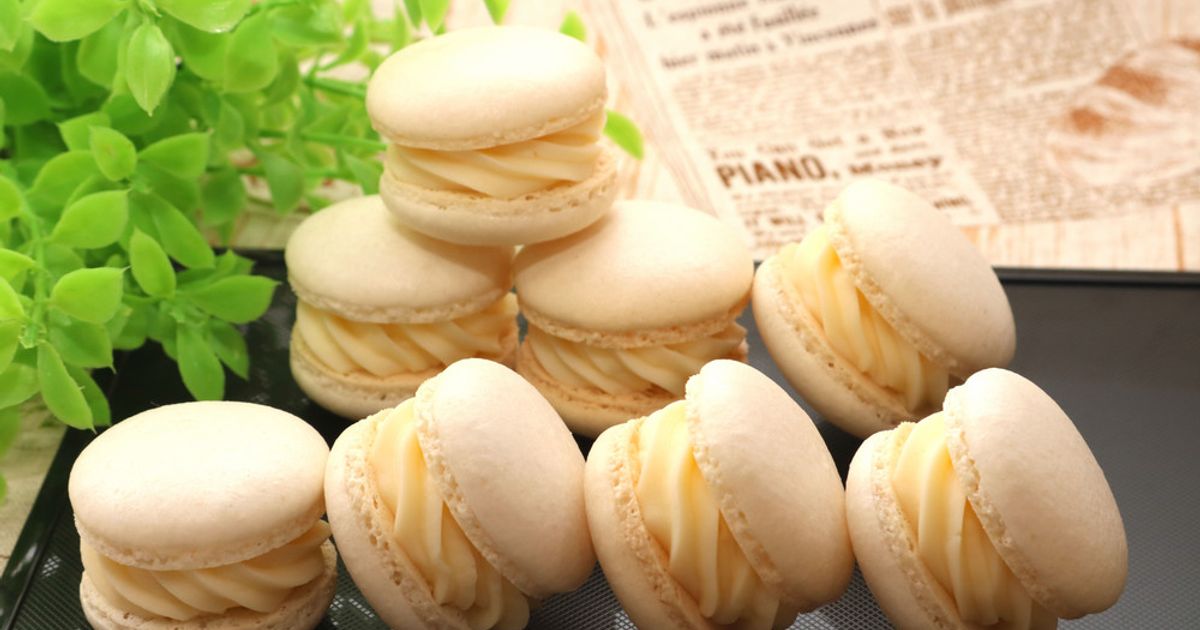 バニラマカロンさま専用 バニラマカロンさま専用