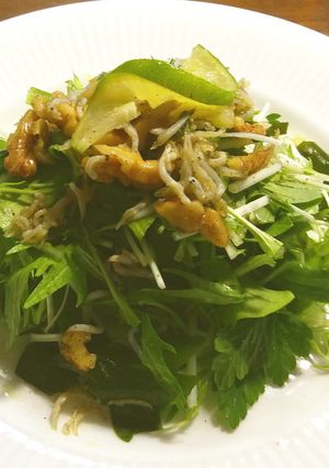 水菜のサラダ しらす魚醤ドレッシング-レシピのメイン写真