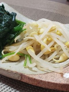 콩나물무침(豆もやしナムル)-レシピのメイン写真