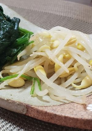 콩나물무침(豆もやしナムル)-レシピのメイン写真