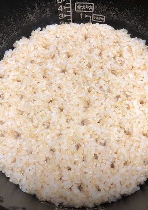 玄米のびっくり炊き　メモ　炊飯鍋-レシピのメイン写真
