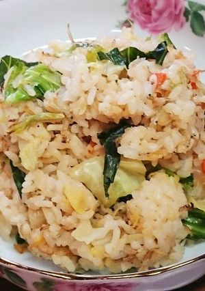 胡麻と味噌が香るじゃこ炒飯-レシピのメイン写真