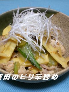 筍と豚肉のピリ辛炒め-レシピのメイン写真
