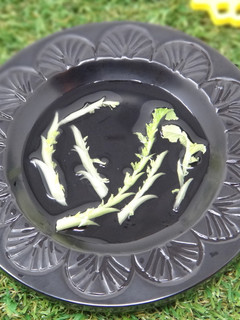 【飾り切り】唐草大根-レシピのメイン写真