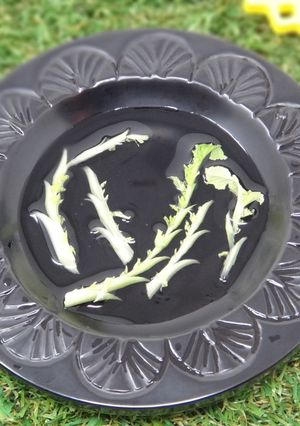【飾り切り】唐草大根-レシピのメイン写真