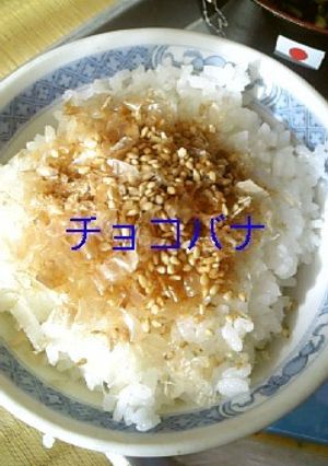 ねこまんまご飯-レシピのメイン写真