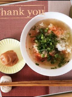 ふりかけで簡単お茶漬け-レシピのメイン写真